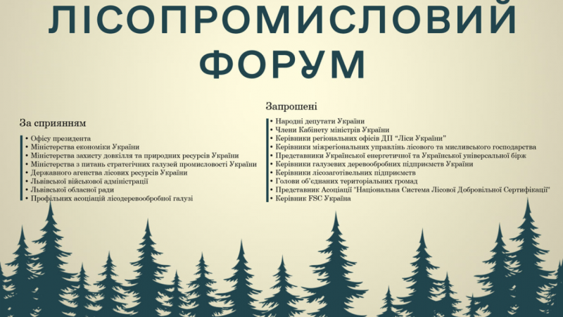 Деякі результати Львівського Форуму від 7го червня